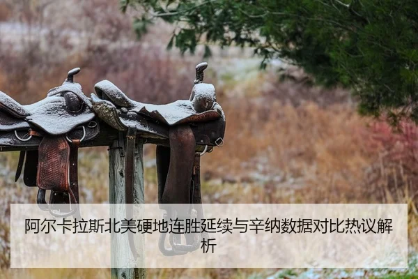 阿尔卡拉斯北美硬地连胜延续与辛纳数据对比热议解析